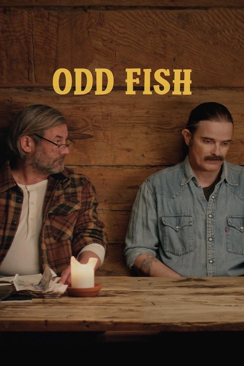 Odd Fish movie poster
