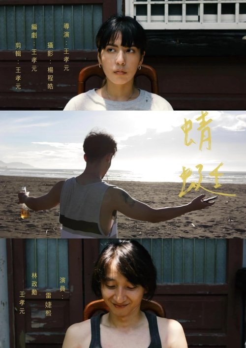 Dragonfly movie poster