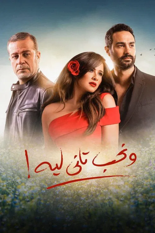 Why Would We Fall in Love Again? tv show poster