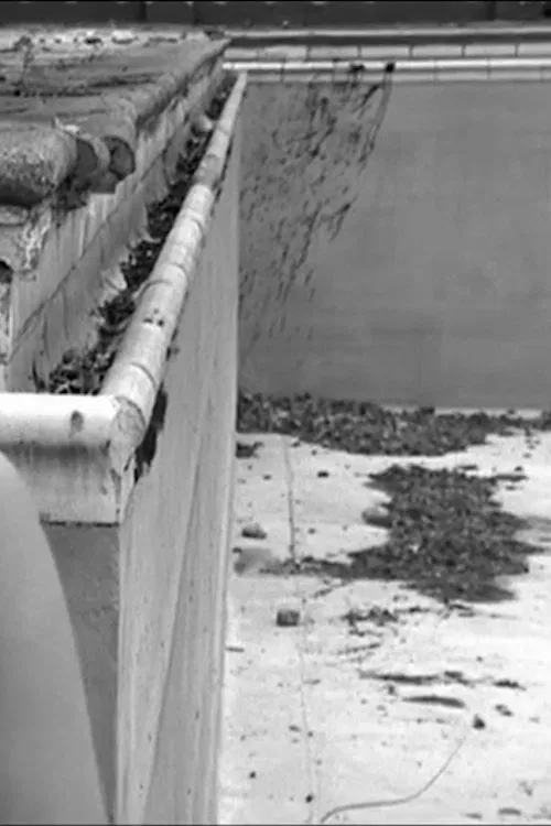 The Pool movie poster