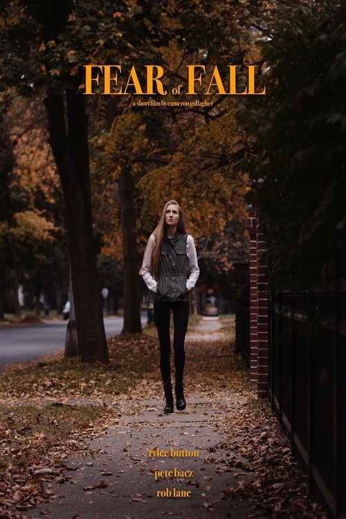 Fear of Fall movie poster