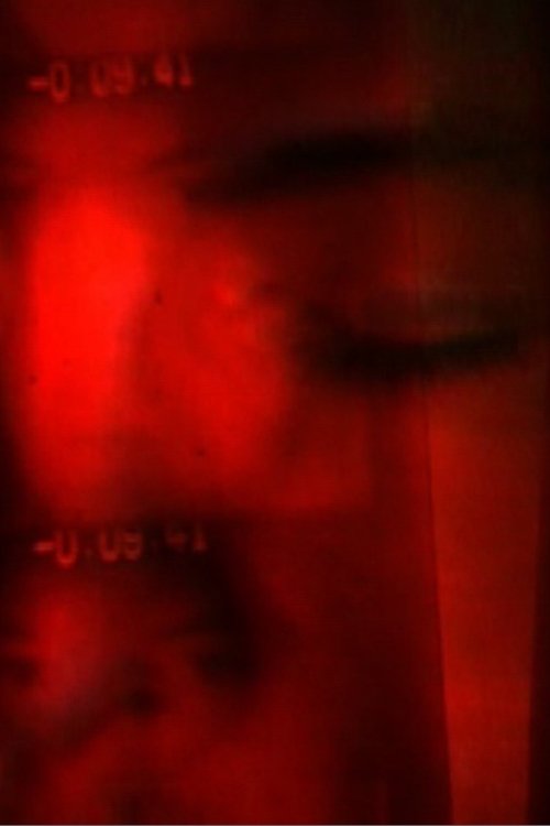 Sparklehorse movie poster