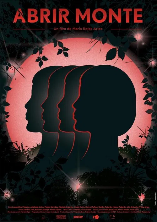 Poster do filme Open mountain