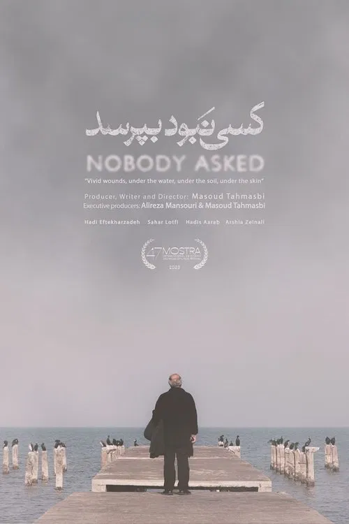 Poster do filme Ninguém Perguntou
