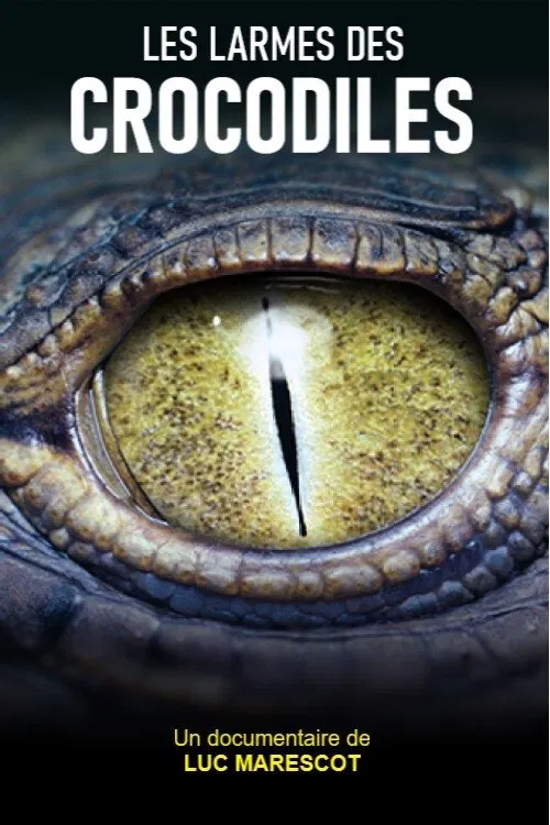 Poster do filme Les larmes des crocodiles