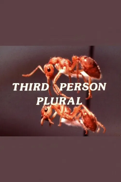 Third Person Plural movie poster