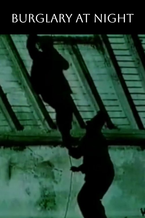 Burglary at Night movie poster