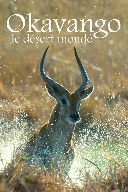 Kalahari: The Flooded Desert movie poster