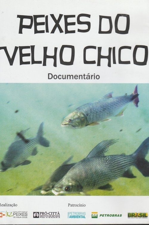 Poster do filme Peixes do Velho Chico