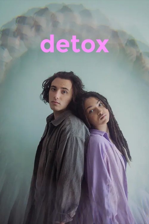 Détox tv show poster