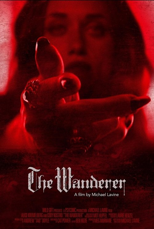The Wanderer movie poster