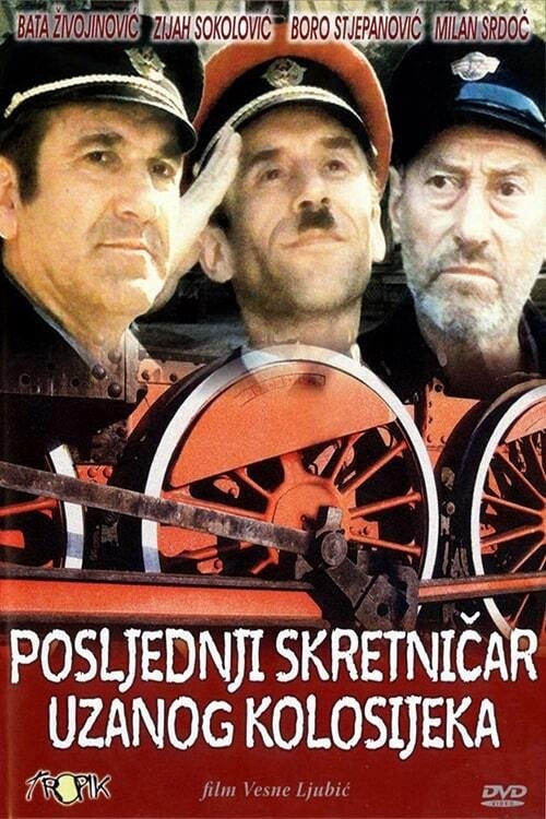 The Last Switchman of the Narrow Gauge Railway movie poster