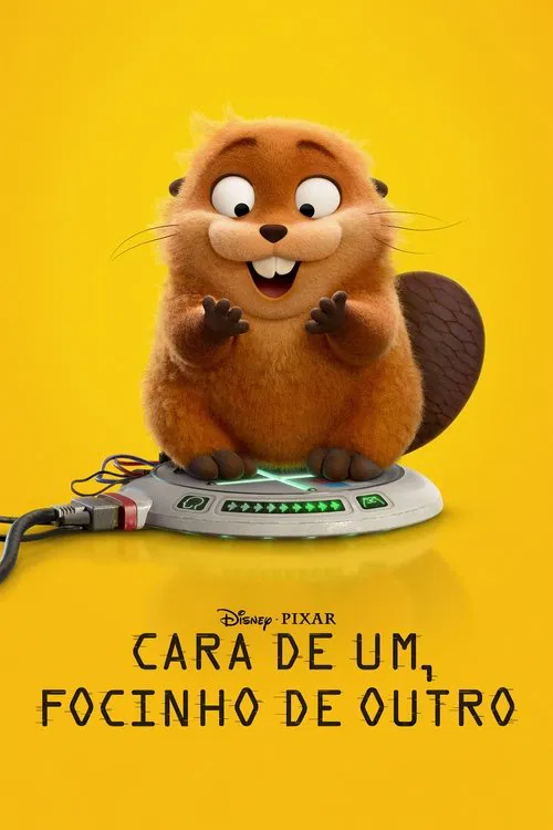 Poster do filme Cara de Um, Focinho de Outro