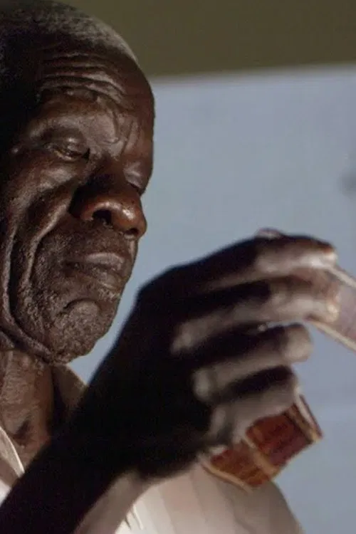 Poster do filme Sudan's Forgotten Films