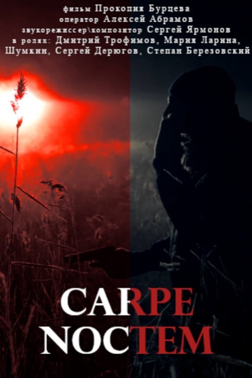 Carpe Noctem movie poster