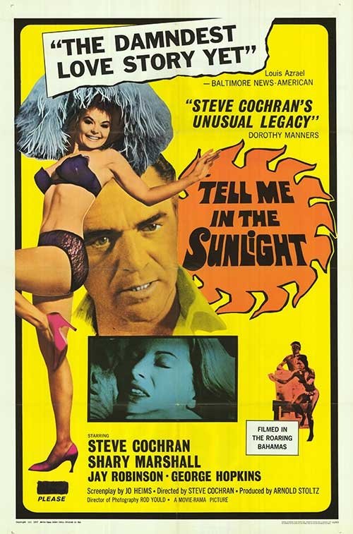 Tell Me In The Sunlight movie poster