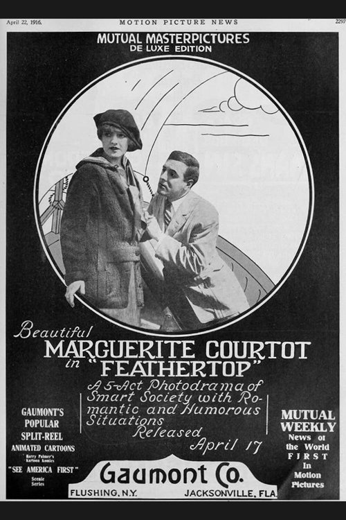 Feathertop movie poster