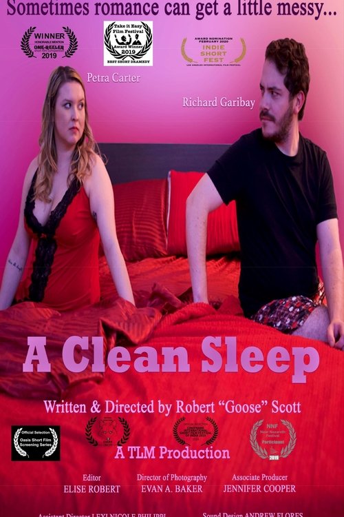 A Clean Sleep movie poster