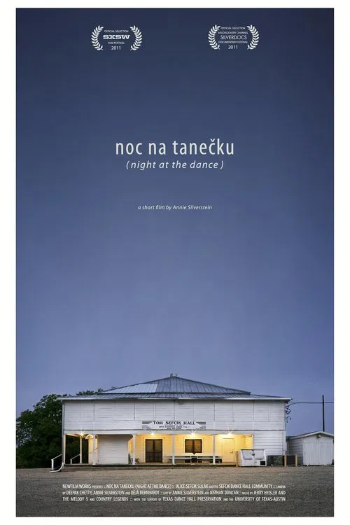 Poster do filme Night at the Dance