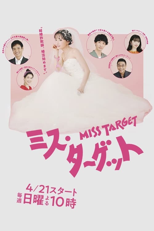Miss Target tv show poster