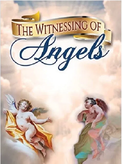 The Witnessing of Angels movie poster