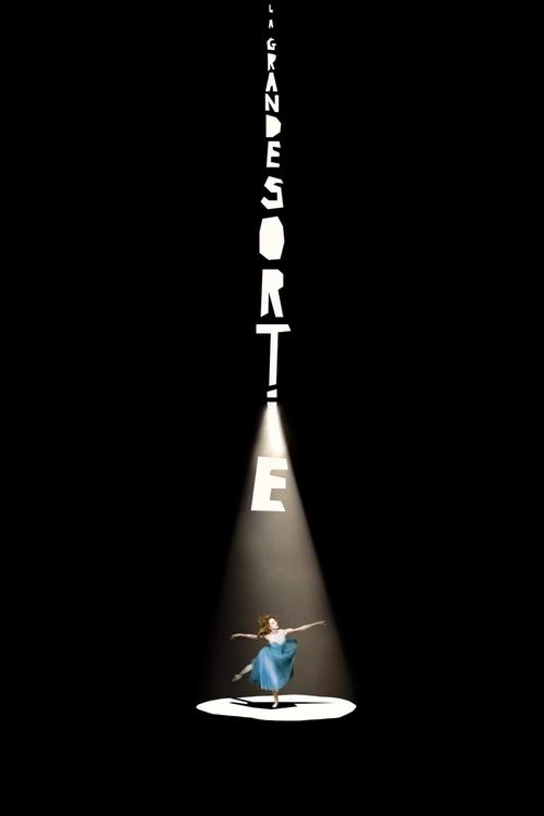 La grande sortie movie poster
