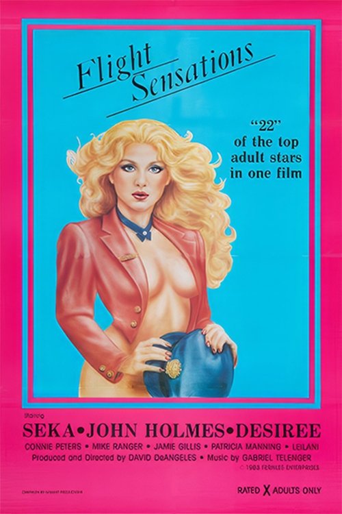 Flight Sensations movie poster