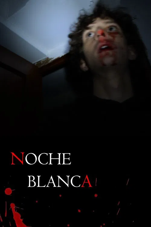 Poster do filme Noche Blanca