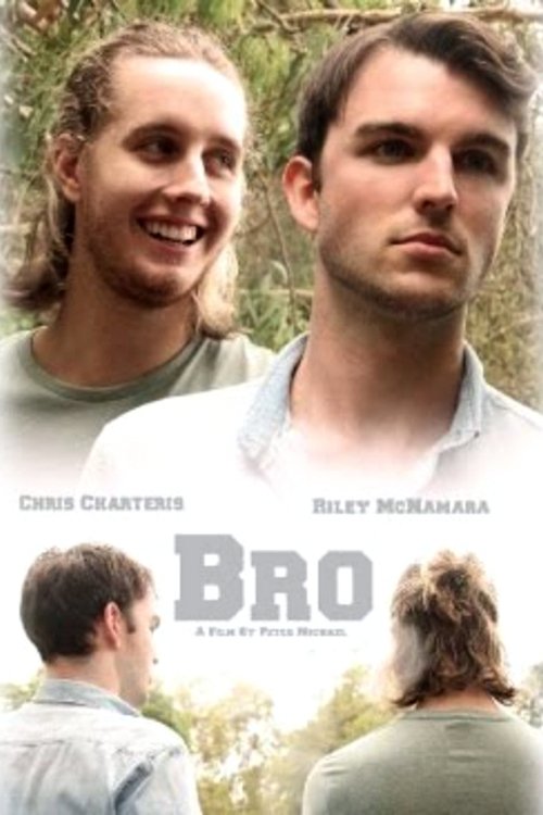 Bro movie poster