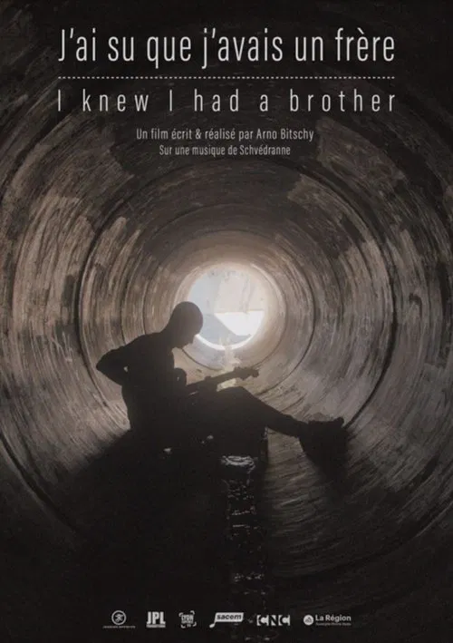 I Knew I had a Brother movie poster