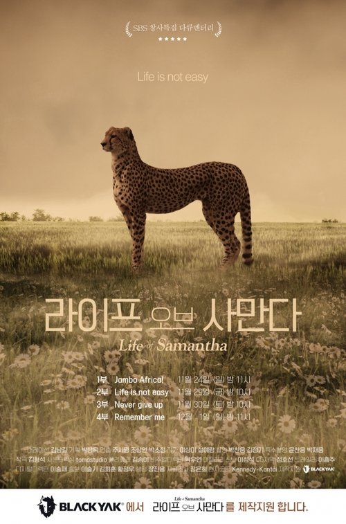 Life of Samantha tv show poster