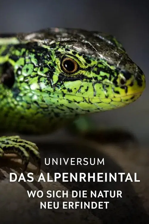 Poster do filme Das Alpenrheintal – Wo sich die Natur neu erfindet