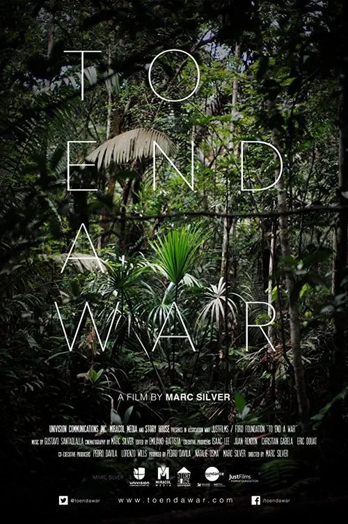 To End a War movie poster