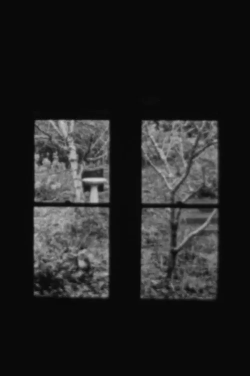 Poster do filme In and Out a Window