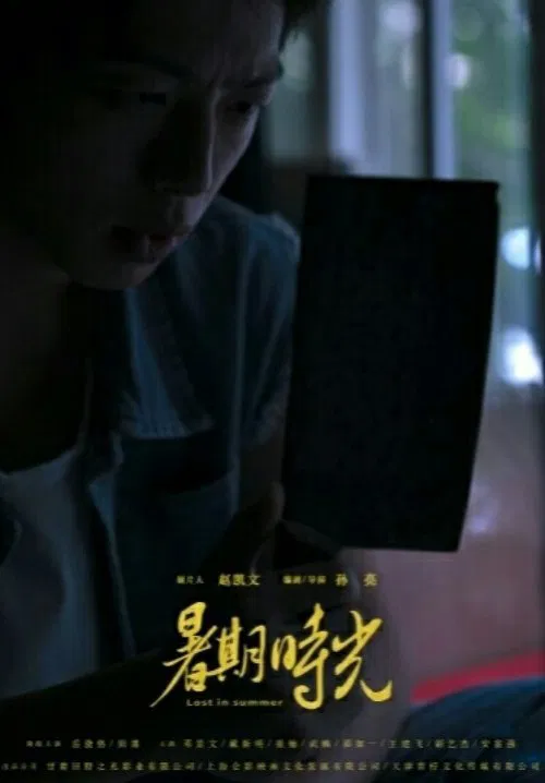 Lost in Summer movie poster