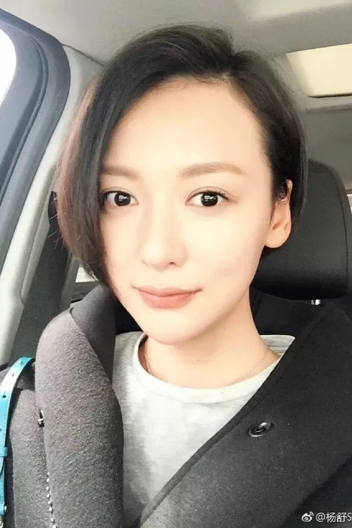 Yang Shu profile picture