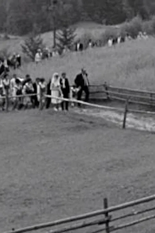 Poster do filme Sloping Fields