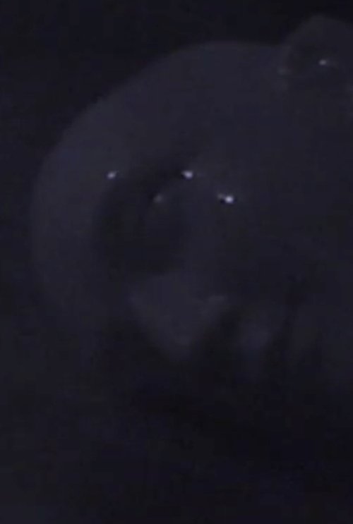 Silent Night movie poster