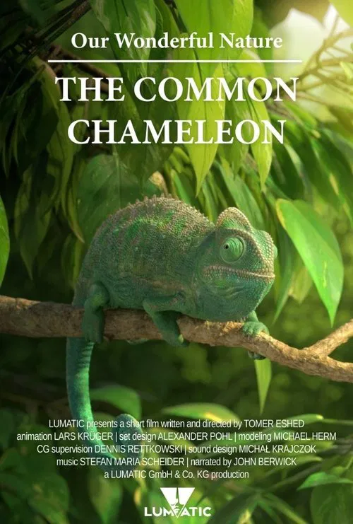 Our Wonderful Nature - The Common Chameleon movie poster