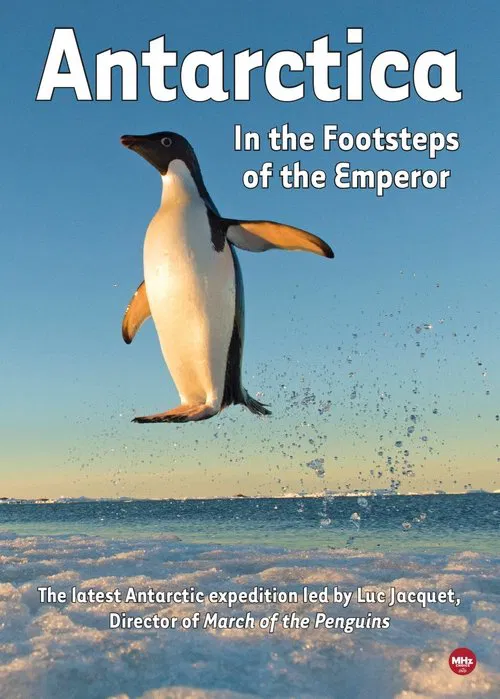 Antarctica, in the footsteps of the Emperor movie poster