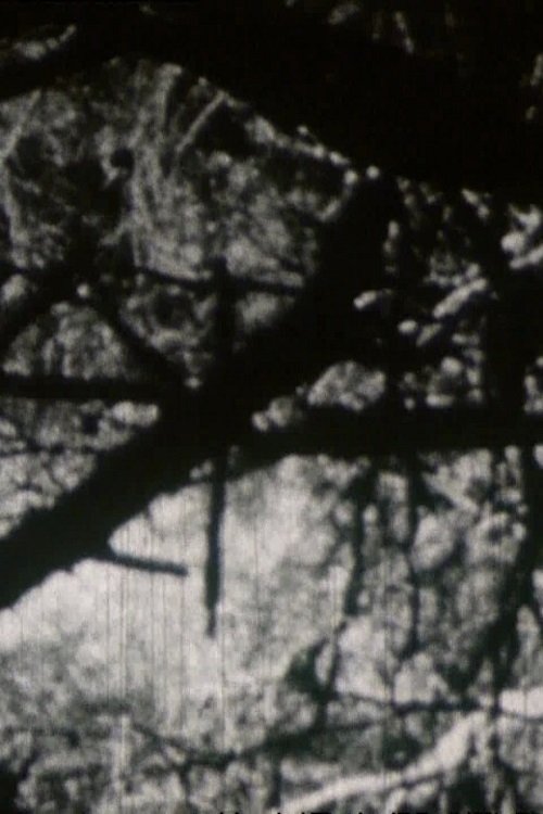 Crépuscule aux Aresquiers movie poster