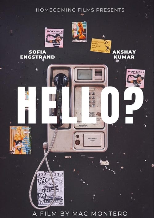 Hello? movie poster
