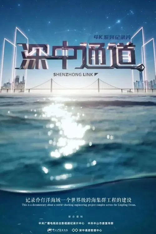 深中通道 tv show poster