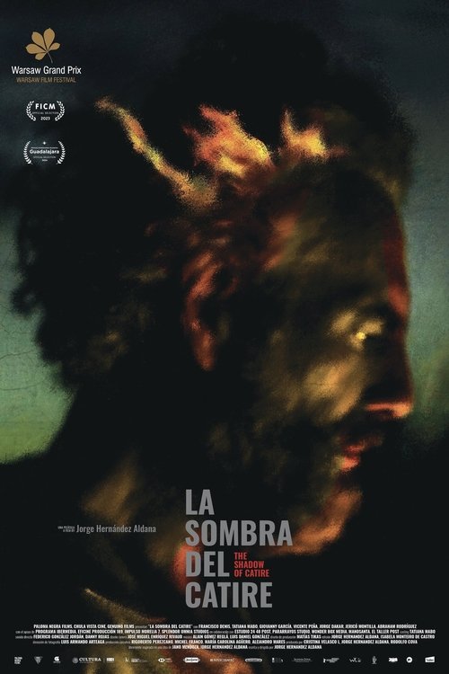 The Shadow of Catire movie poster