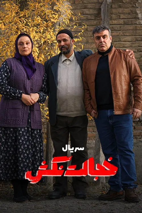 Don't Be Embarassed tv show poster