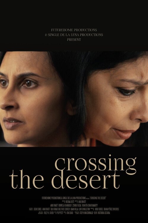Crossing the Desert movie poster