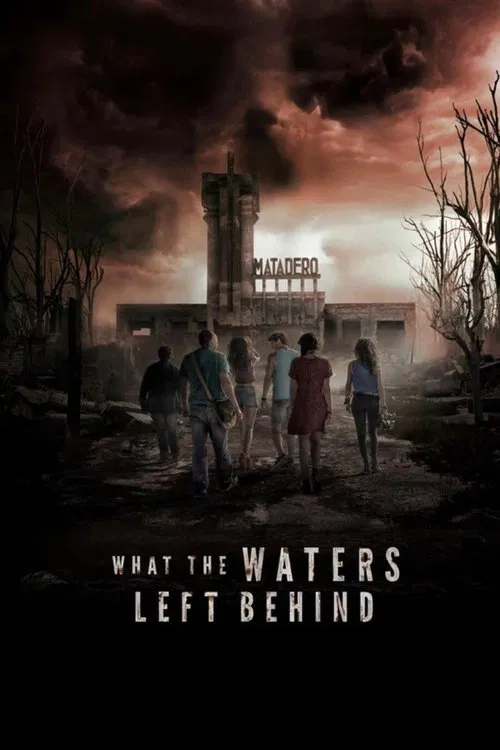 What the Waters Left Behind movie poster