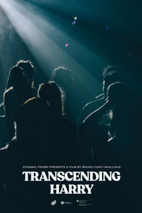 Poster do filme Transcending Harry