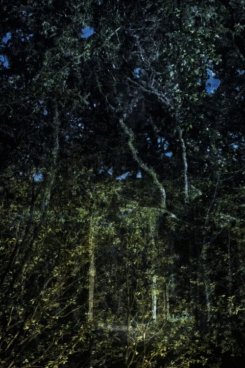 They witness time in longer intervalls movie poster