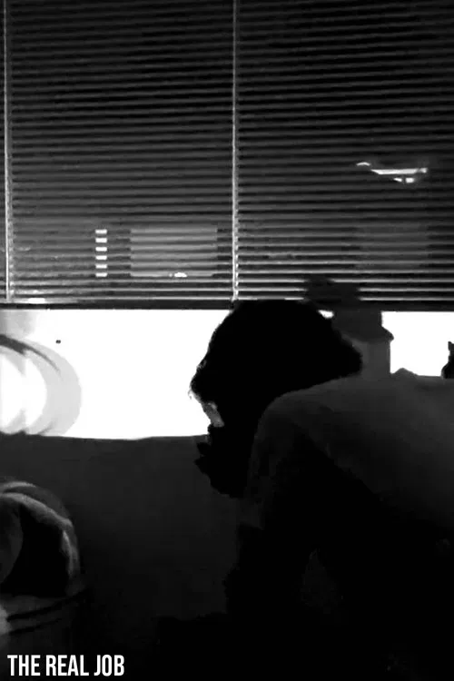 Poster do filme The Real Job